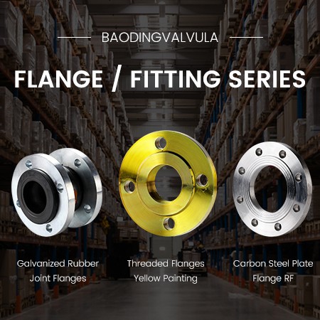 FLANGE FITTING SERIES