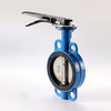 Wafer Butterfly Valve Type1