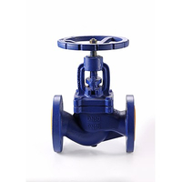 DIN Globe Valve