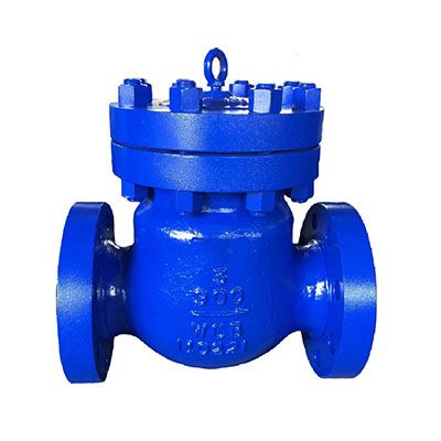 Swing Check Valve South Africa