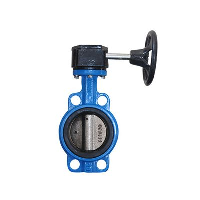 Turbine Wafer Butterfly Valve Dn250