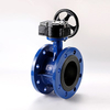 Flange Butterfly Valve