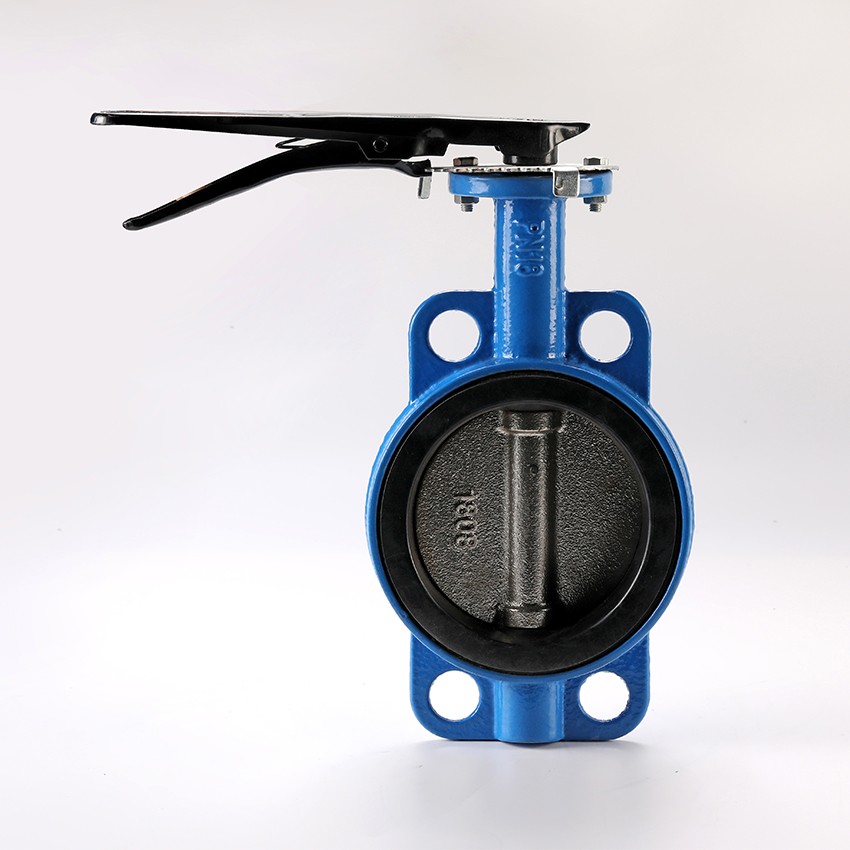 Wafer Butterfly Valve Type1 - Product Description (1)